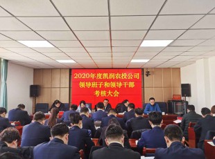 suncitygroup太阳集团 召开2020年度向导班子和向导干部审核大会