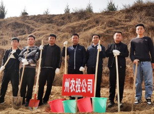 suncitygroup太阳集团加入2021年春季义务植树活动